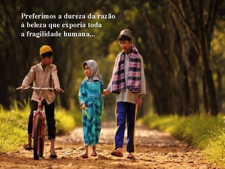 Preferimos a dureza da razão à beleza que exporia toda a fragilidade humana. .