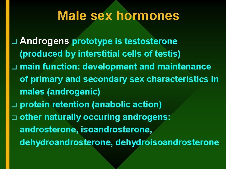 Male sex hormones q Androgens prototype is testosterone (produced by interstitial cells of testis)