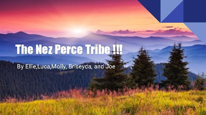 The Nez Perce Tribe !!! By Ellie, Luca, Molly, Briseyda, and Joe 