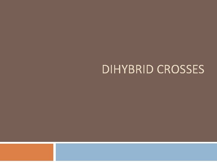 DIHYBRID CROSSES 
