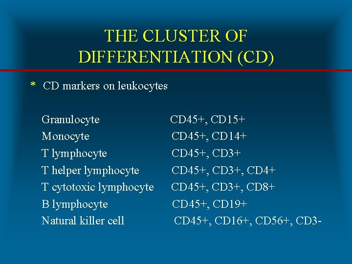 THE CLUSTER OF DIFFERENTIATION (CD) * CD markers on leukocytes Granulocyte Monocyte T lymphocyte