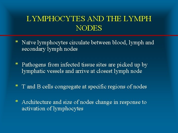 LYMPHOCYTES AND THE LYMPH NODES * Naïve lymphocytes circulate between blood, lymph and secondary