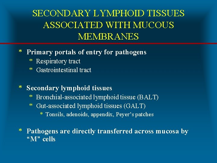 SECONDARY LYMPHOID TISSUES ASSOCIATED WITH MUCOUS MEMBRANES * Primary portals of entry for pathogens