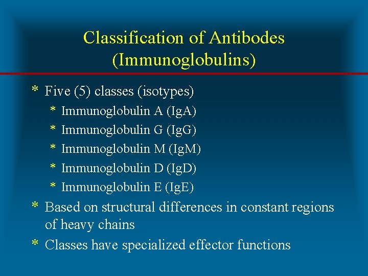 Classification of Antibodes (Immunoglobulins) * Five (5) classes (isotypes) * * * Immunoglobulin A