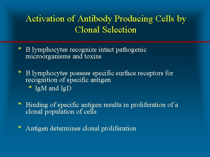 Activation of Antibody Producing Cells by Clonal Selection * B lymphocytes recognize intact pathogenic