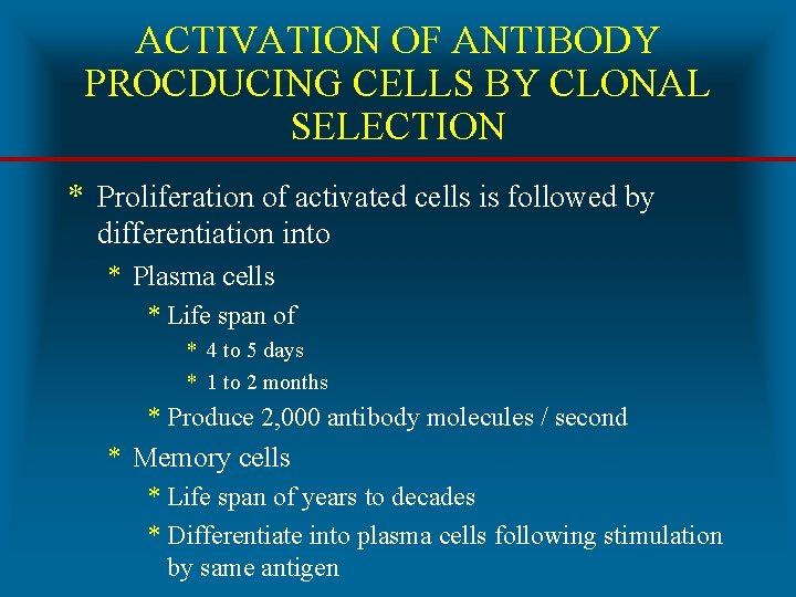 ACTIVATION OF ANTIBODY PROCDUCING CELLS BY CLONAL SELECTION * Proliferation of activated cells is