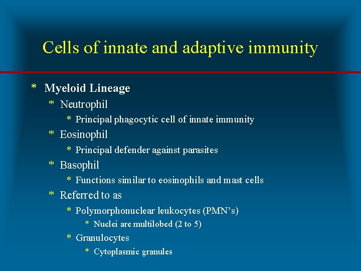 Cells of innate and adaptive immunity * Myeloid Lineage * Neutrophil * Principal phagocytic