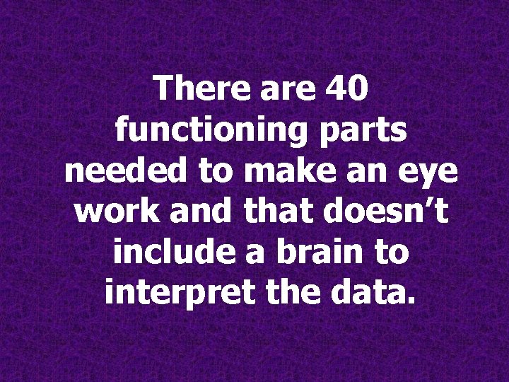 There are 40 functioning parts needed to make an eye work and that doesn’t There are 40 functioning parts needed to make an eye work and that doesn’t