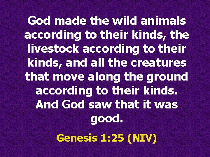 God made the wild animals according to their kinds, the livestock according to their God made the wild animals according to their kinds, the livestock according to their