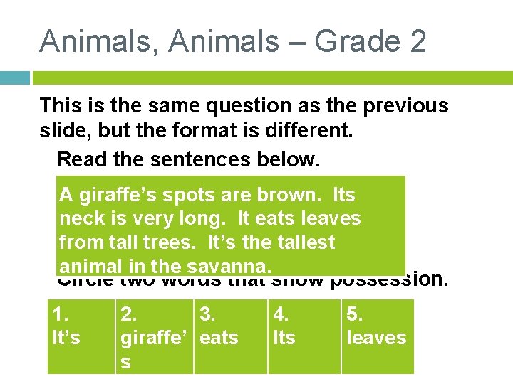 Animals, Animals – Grade 2 This is the same question as the previous slide,