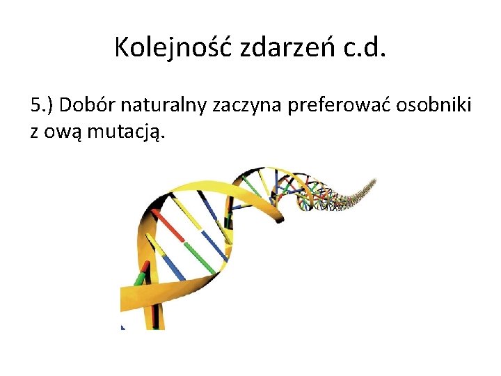 Kolejność zdarzeń c. d. 5. ) Dobór naturalny zaczyna preferować osobniki z ową mutacją.