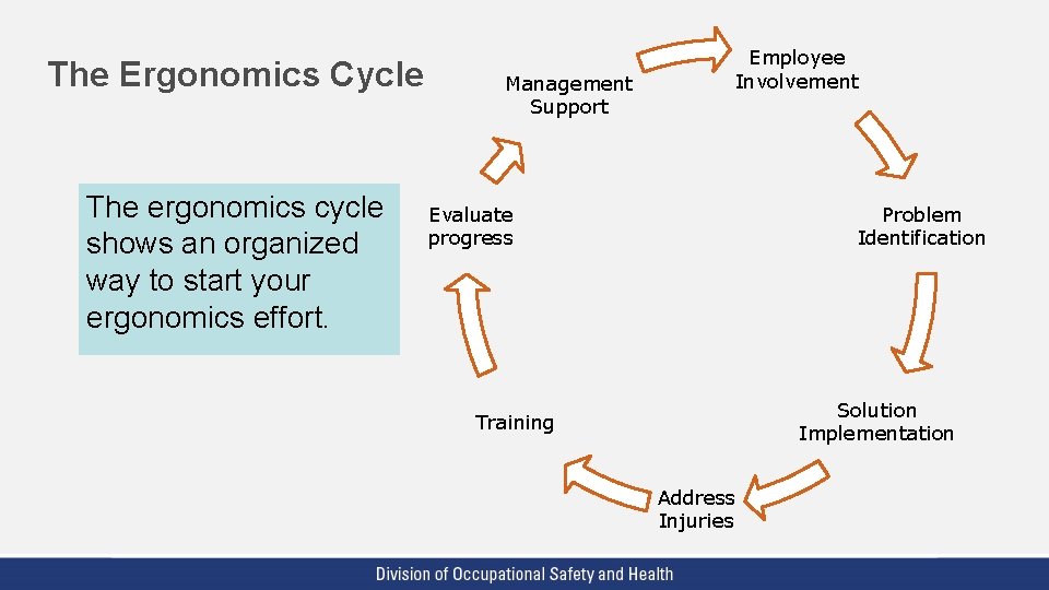 The Ergonomics Cycle The ergonomics cycle shows an organized way to start your ergonomics The Ergonomics Cycle The ergonomics cycle shows an organized way to start your ergonomics