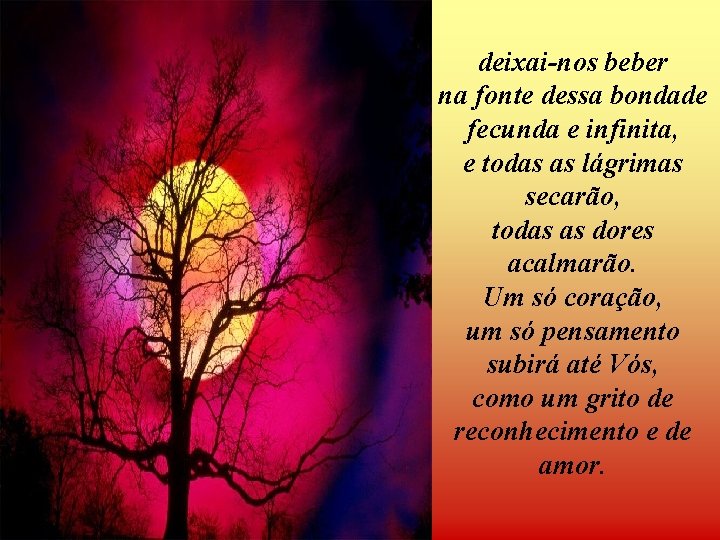 deixai-nos beber na fonte dessa bondade fecunda e infinita, e todas as lágrimas secarão,