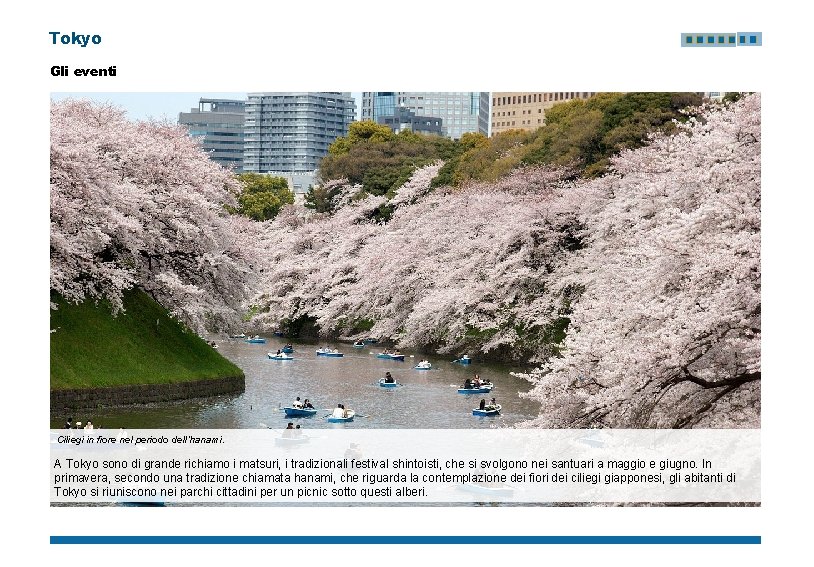 Tokyo Gli eventi Ciliegi in fiore nel periodo dell’hanami. A Tokyo sono di grande