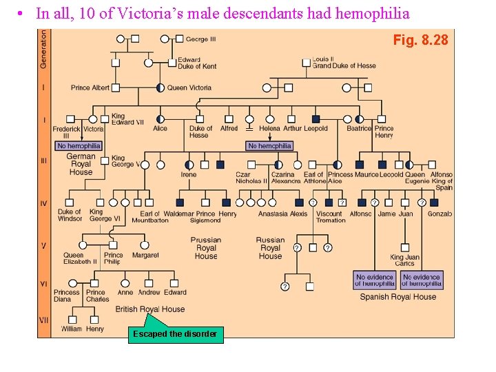  • In all, 10 of Victoria’s male descendants had hemophilia Fig. 8. 28