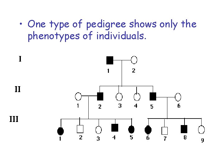  • One type of pedigree shows only the phenotypes of individuals. 