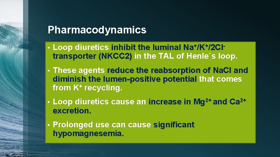 Pharmacodynamics • Loop diuretics inhibit the luminal Na+/K+/2 Cltransporter (NKCC 2) in the TAL