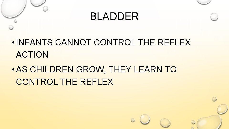 BLADDER • INFANTS CANNOT CONTROL THE REFLEX ACTION • AS CHILDREN GROW, THEY LEARN