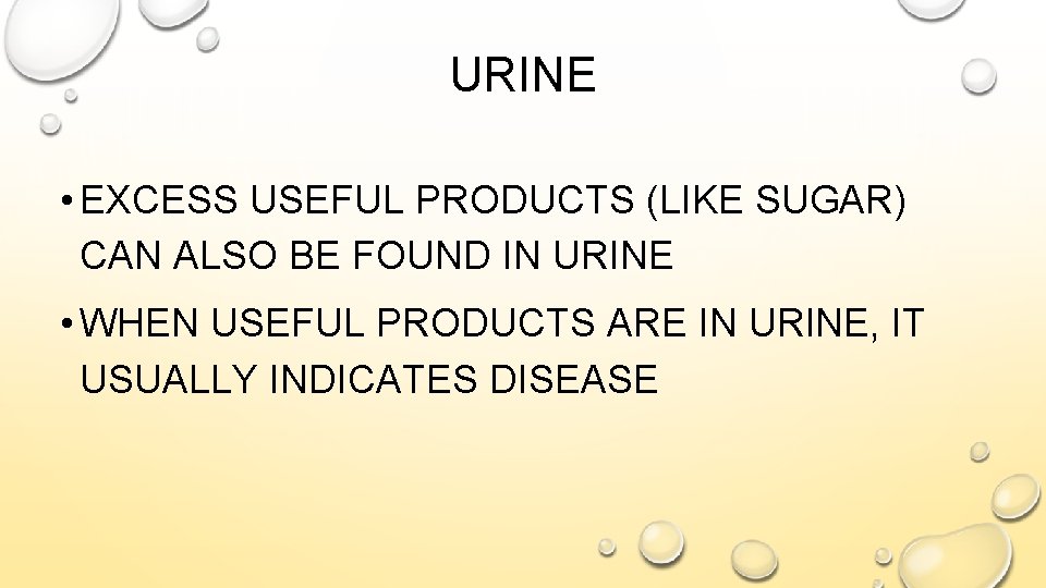 URINE • EXCESS USEFUL PRODUCTS (LIKE SUGAR) CAN ALSO BE FOUND IN URINE •