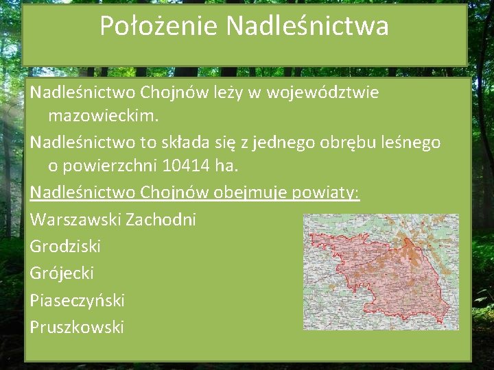 Położenie Nadleśnictwa Nadleśnictwo Chojnów leży w województwie mazowieckim. Nadleśnictwo to składa się z jednego