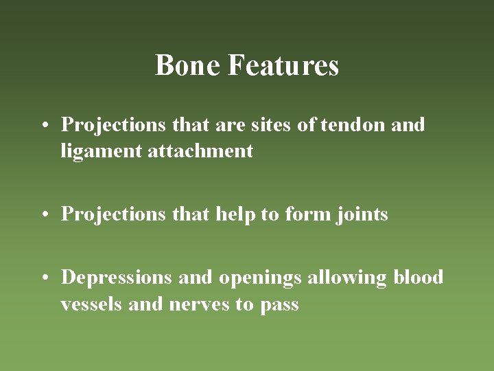 Bone Features • Projections that are sites of tendon and ligament attachment • Projections