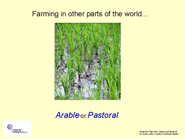 Farming in other parts of the world… Arable or Pastoral Image by Flickr user