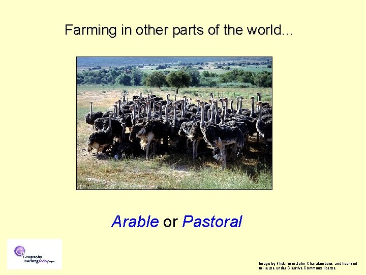 Farming in other parts of the world… Arable or Pastoral Image by Flickr user