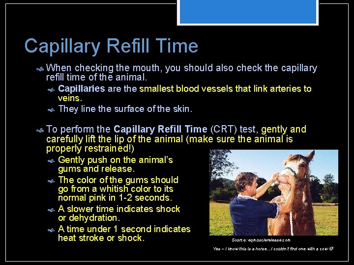 Capillary Refill Time When checking the mouth, you should also check the capillary refill Capillary Refill Time When checking the mouth, you should also check the capillary refill