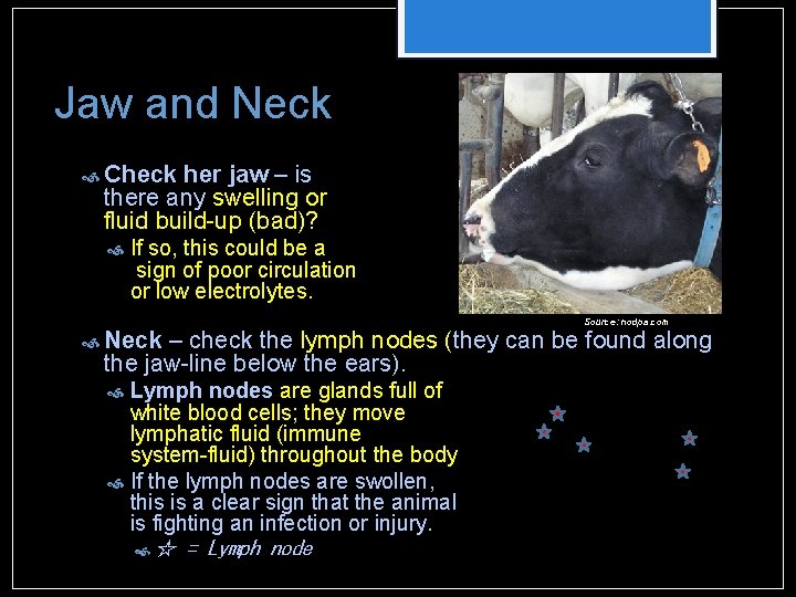 Jaw and Neck Check her jaw – is there any swelling or fluid build-up Jaw and Neck Check her jaw – is there any swelling or fluid build-up