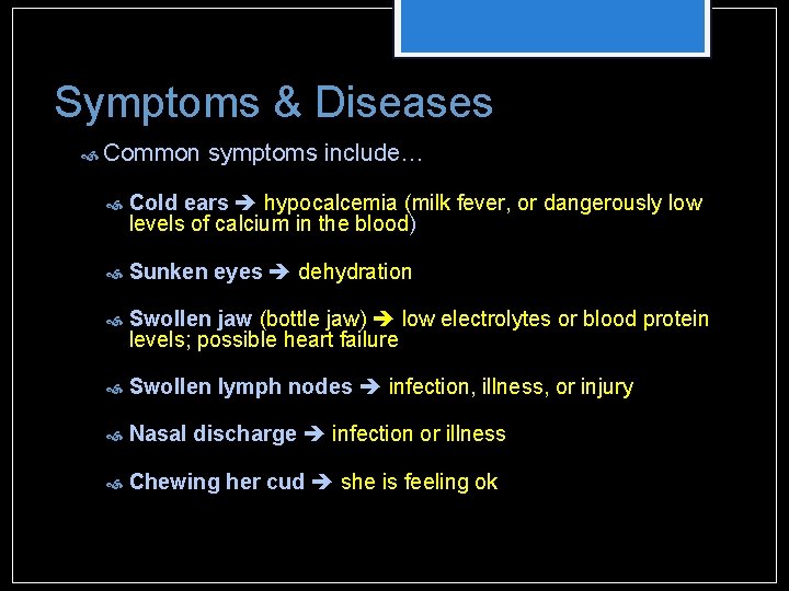 Symptoms & Diseases Common symptoms include… Cold ears hypocalcemia (milk fever, or dangerously low Symptoms & Diseases Common symptoms include… Cold ears hypocalcemia (milk fever, or dangerously low
