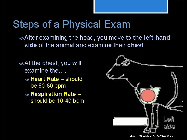 Steps of a Physical Exam After examining the head, you move to the left-hand Steps of a Physical Exam After examining the head, you move to the left-hand