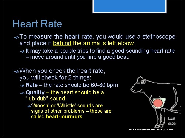 Heart Rate To measure the heart rate, you would use a stethoscope and place Heart Rate To measure the heart rate, you would use a stethoscope and place