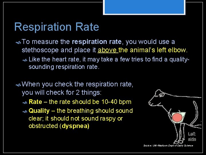 Respiration Rate To measure the respiration rate, you would use a stethoscope and place Respiration Rate To measure the respiration rate, you would use a stethoscope and place