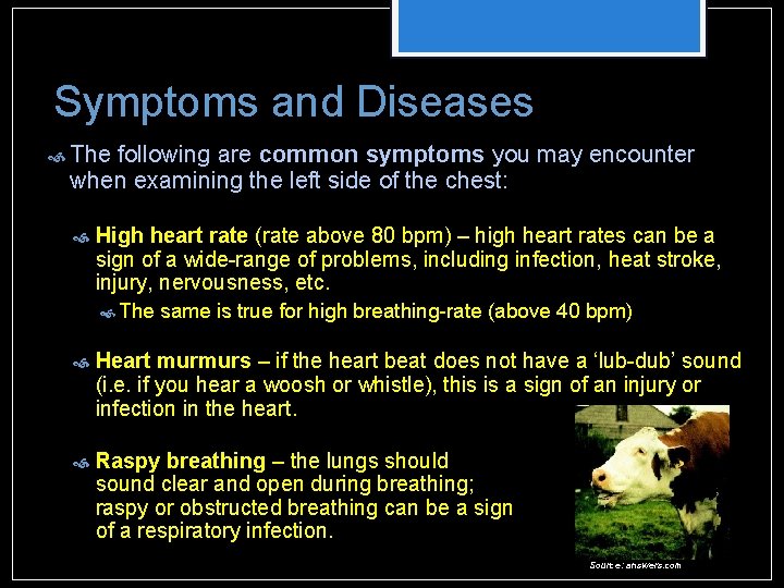 Symptoms and Diseases The following are common symptoms you may encounter when examining the Symptoms and Diseases The following are common symptoms you may encounter when examining the