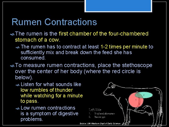 Rumen Contractions The rumen is the first chamber of the four-chambered stomach of a Rumen Contractions The rumen is the first chamber of the four-chambered stomach of a