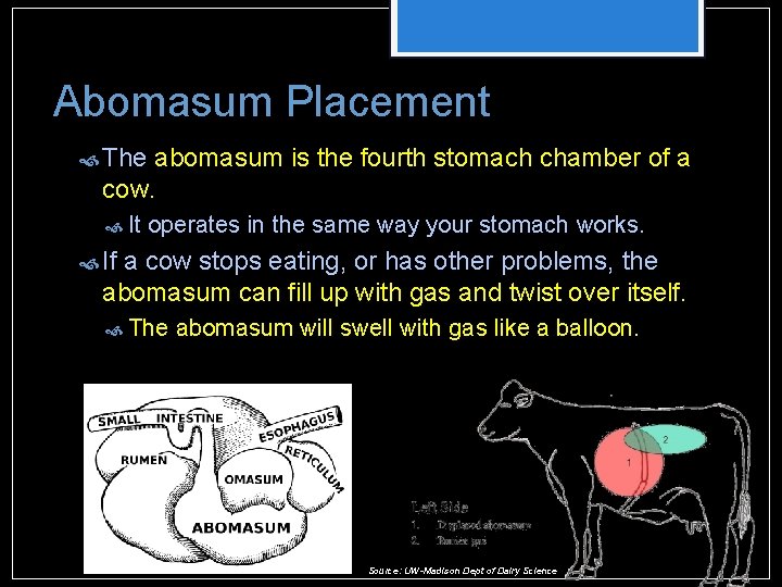 Abomasum Placement The abomasum is the fourth stomach chamber of a cow. It operates Abomasum Placement The abomasum is the fourth stomach chamber of a cow. It operates
