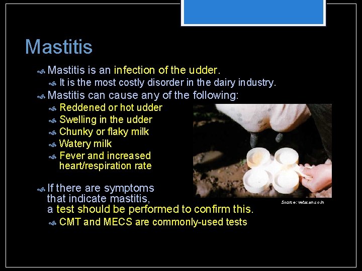 Mastitis is an infection of the udder. It is the most costly disorder in Mastitis is an infection of the udder. It is the most costly disorder in