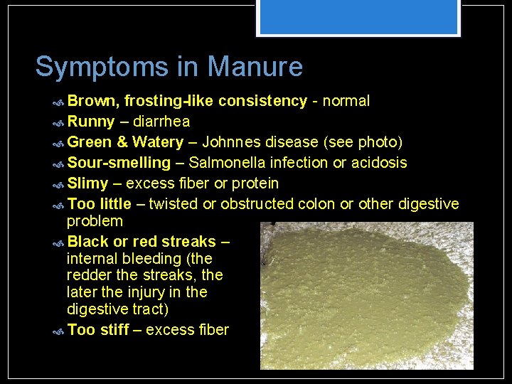 Symptoms in Manure Brown, frosting-like consistency - normal Runny – diarrhea Green & Watery Symptoms in Manure Brown, frosting-like consistency - normal Runny – diarrhea Green & Watery