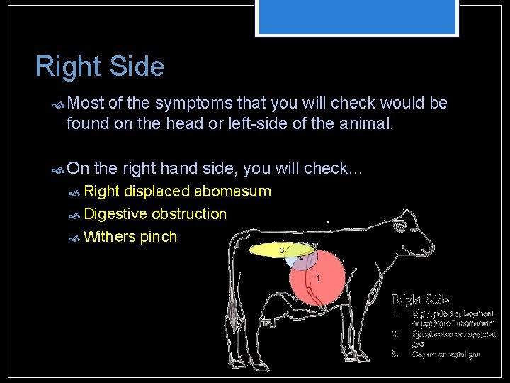 Right Side Most of the symptoms that you will check would be found on Right Side Most of the symptoms that you will check would be found on
