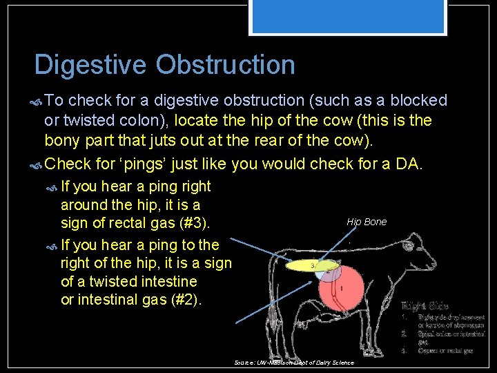 Digestive Obstruction To check for a digestive obstruction (such as a blocked or twisted Digestive Obstruction To check for a digestive obstruction (such as a blocked or twisted