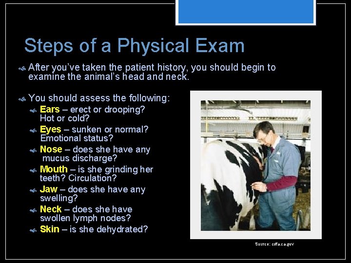 Steps of a Physical Exam After you’ve taken the patient history, you should begin Steps of a Physical Exam After you’ve taken the patient history, you should begin