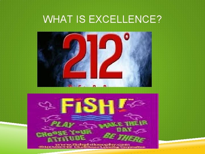 WHAT IS EXCELLENCE? WHAT IS EXCELLENCE?