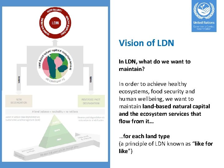 Vision of LDN In LDN, what do we want to maintain? In order to