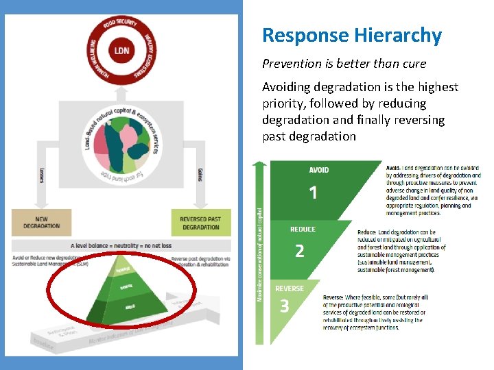 Response Hierarchy Prevention is better than cure Avoiding degradation is the highest priority, followed