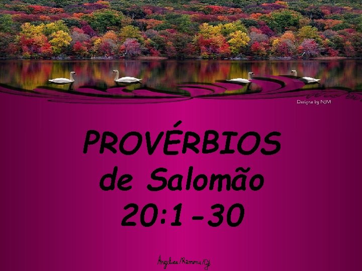 PROVÉRBIOS de Salomão 20: 1 -30 