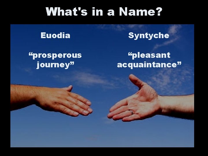 What's in a Name? Euodia Syntyche “prosperous journey” “pleasant acquaintance” What's in a Name? Euodia Syntyche “prosperous journey” “pleasant acquaintance”