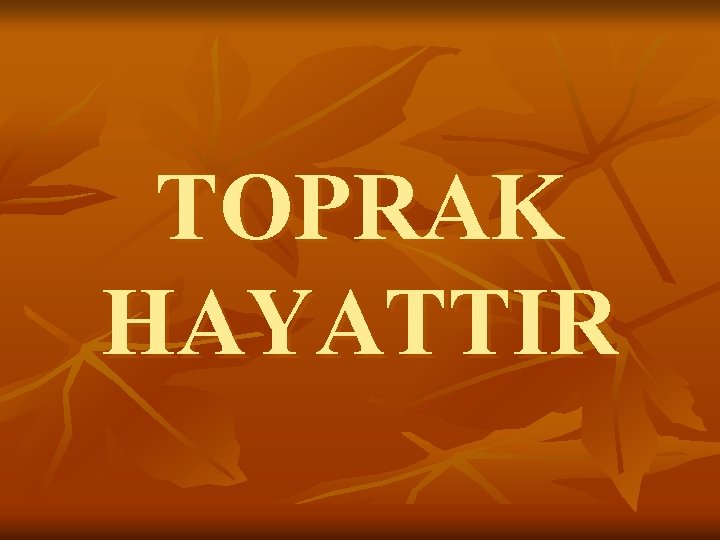 TOPRAK HAYATTIR 