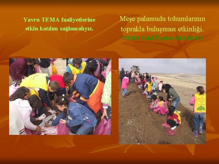 Yavru TEMA faaliyetlerine etkin katılım sağlamalıyız. Meşe palamudu tohumlarının toprakla buluşması etkinliği. (TEMA Vakfı