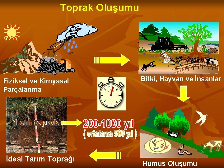 Toprak Oluşumu Fiziksel ve Kimyasal Parçalanma İdeal Tarım Toprağı Bitki, Hayvan ve İnsanlar Orman