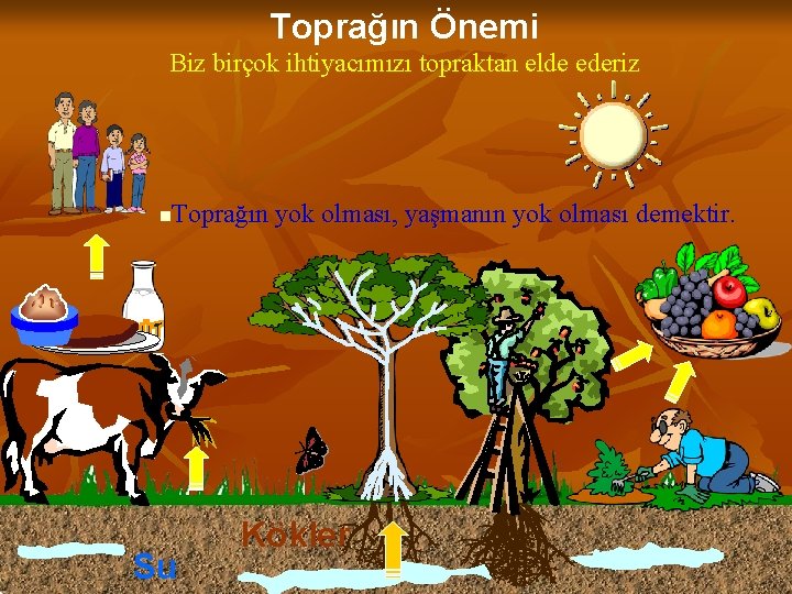 Toprağın Önemi Biz birçok ihtiyacımızı topraktan elde ederiz Toprağın yok olması, yaşmanın yok olması